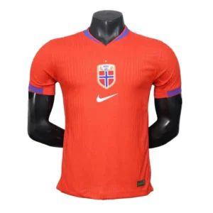 2026 Norway World Cup Home Football jersey Player edition