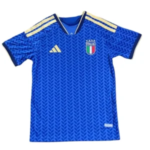 2026 ltaly World Cup Home Football jersey Fan version