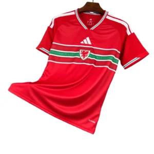 2026 Wales World Cup Home Football jersey Fan edition