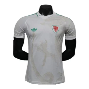2026 Wales World Cup Away Football jersey Player edition